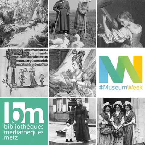 missmedia  GIF