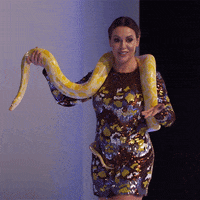 200.gif?cid=fc005b080f058987d71378714ab74449840af9cb1f01af82&rid=200.gif&ct=g