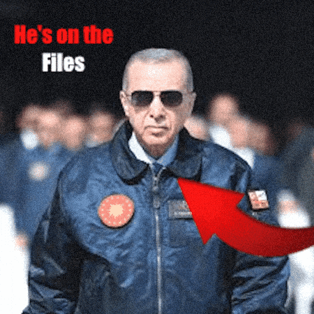Turkey Files GIF