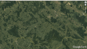 Forest Croatia GIF