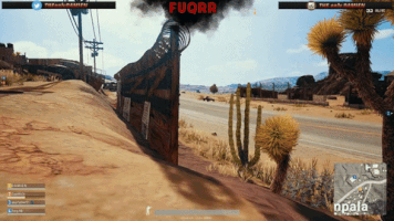 Animated GIF