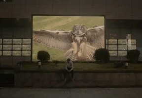 Animated GIF