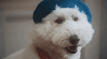 beret fix me GIF by Beck