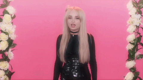 kim petras