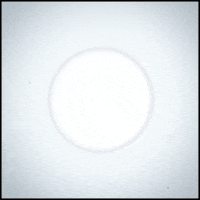 white out gif artist GIF by Erica Anderson