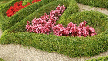 Flower Garden GIF by Ogrody Hortulus