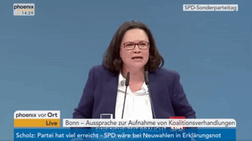 Andrea Nahles Spd GIF