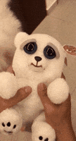 Dog Lol GIF by ViralHog
