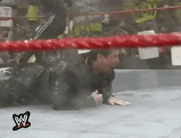 hosed down vince mcmahon GIF by WWE