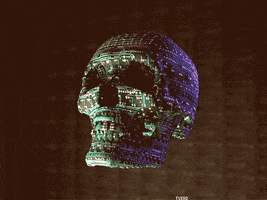 computer skull GIF by tverd