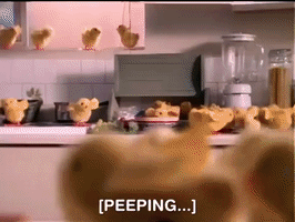 action league now nicksplat GIF