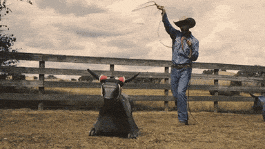Formula 1 Drink GIF by Red Bull Racing