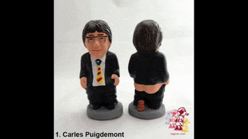 caganer GIF by euronews