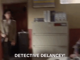 The Mystery Files Of Shelby Woo Nicksplat GIF
