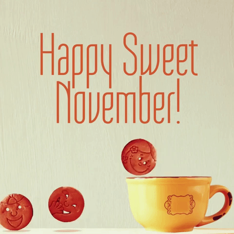 officialandreascy november new month happy november happy month GIF
