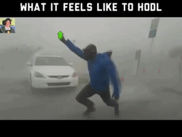 To The Moon Bitcoin GIF