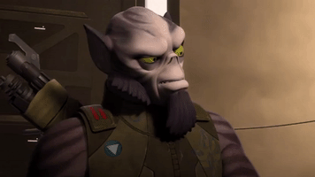 200.gif?cid=fc005b0832828ad21a583084d99d246818f2130b054ed5a2&rid=200.gif&ct=g