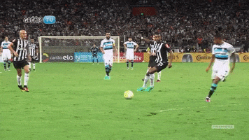futebol GIF by Grêmio