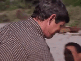 Journey Of Allen Strange Nicksplat GIF