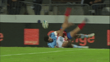 ball try GIF by FCG Rugby