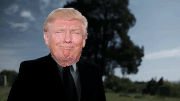 FakeNewsMatters trump fake news cnn GIF