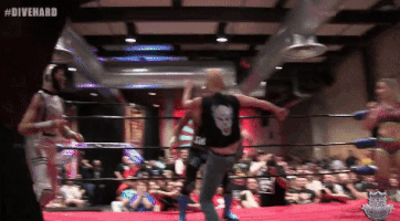 wrestlinggiphy stunner stonecold steveaustin wrestlecircus GIF