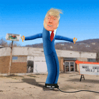 donald trump GIF by Chris Timmons