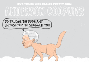anderson cooper cat GIF by Ryan Casey