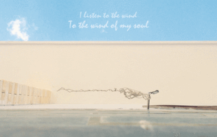 ngoctienphan95 sky feeling the wind GIF