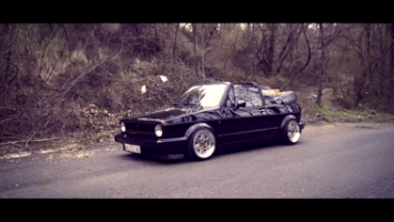 fernandosantiagouriostegui small bumpers mk1 GIF