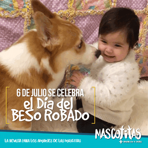 revistamascotitas pets ecuador mascotitas dia del beso robado GIF