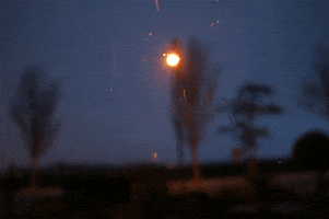 night photography GIF by scenes