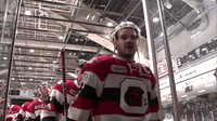 Celebration Hockey GIF by Toronto Marlies - Find & Share on GIPHY