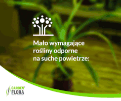 Garden Ogrã³D GIF
