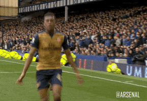 alex iwobi football GIF by Arsenal