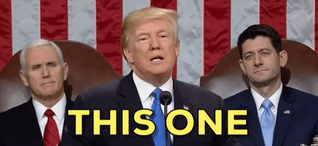 Donald Trump GIF by State of the Union address 2018 - Find & Share on GIPHY
