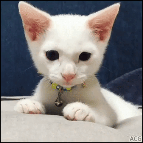 Whenyouseesomthinggory GIF