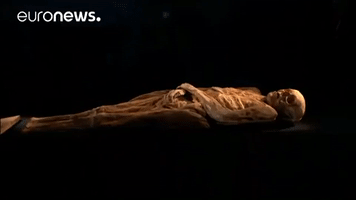 mummy GIF by euronews