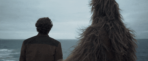 Han Solo Chewie GIF by Star Wars