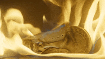 200.gif?cid=fc005b080ed568535326c5331d163ce5100cd7849936e3e4&rid=200.gif&ct=g
