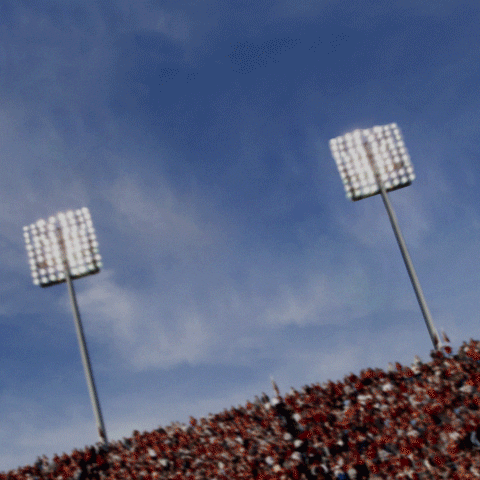 football crave GIF by Wingstop