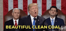 Donald Trump GIF by State of the Union address 2018