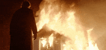 On Fire Burn GIF by Searchlight Pictures