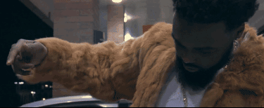 Like A Boss Fly GIF