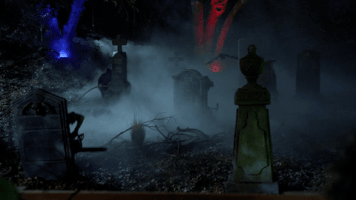 200.gif?cid=fc005b08fa299050d80c85a7aa0014a818adac20ba2cfe02&rid=200.gif&ct=g