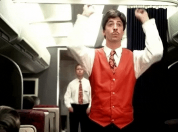 flight attendant learn to fly GIF by Foo Fighters
