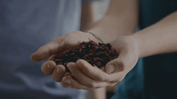 home brewing GIF by BEERLAND