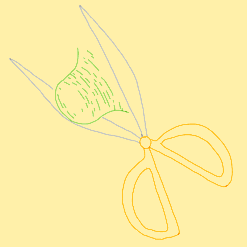 Animation Scissors GIF