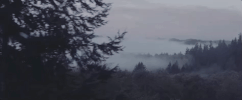 Still Breathing GIF by Green Day