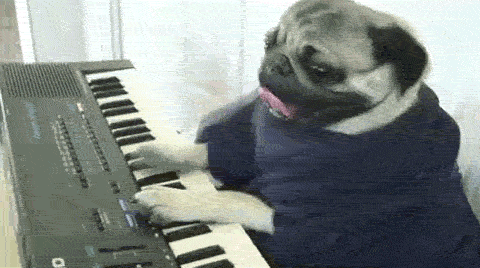 Dog Playing GIF - Find & Share on GIPHY
